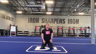 High plank alternating hand raise