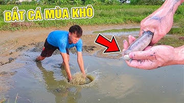 VŨNG NƯỚC CẠN NHUNG NHÚC ĐẦY CÁ ( Lạ Vlog Bắt Cá Mùa Khô) Catch fish in the dry season