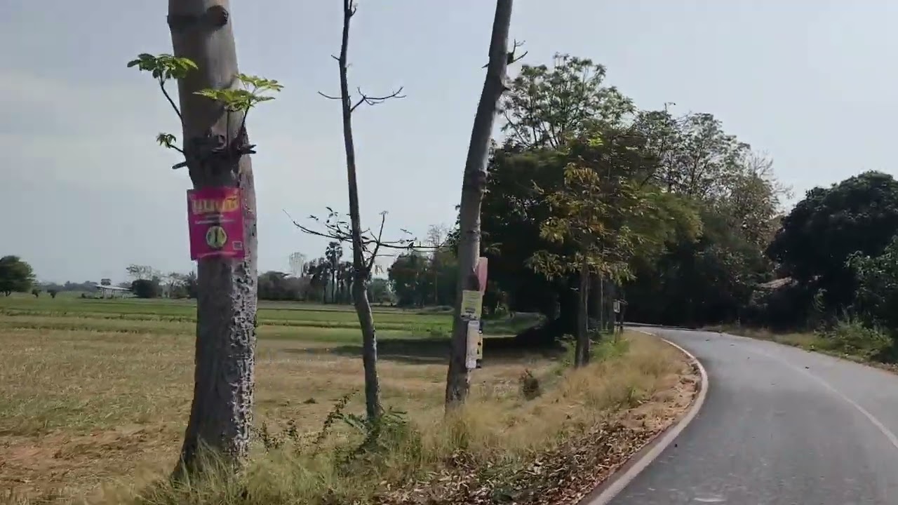 บรรยากาศทุ่งนา ต.บ้านสวน จ.สุโขทัย