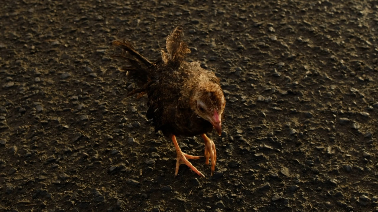 And then I dropped my camera in the river (fujifilm xt2 4k) YouTube