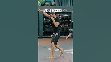 Khamzat Chimaev trains ahead of UFC 308 comeback