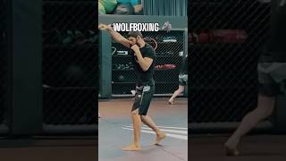 Khamzat Chimaev Trains Ahead Of Ufc 308 Comeback