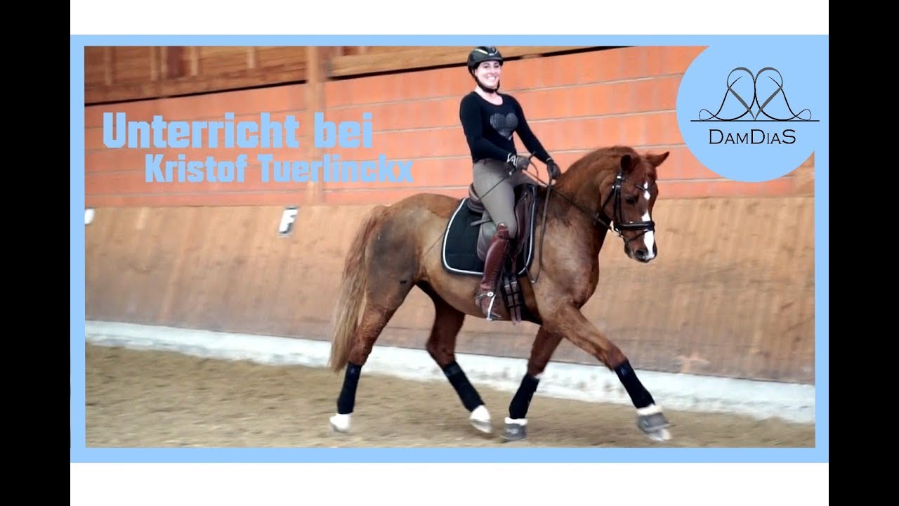 Unterricht bei Kristof Tuerlinckx Oktober 2017 | DamDiaS