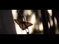 EL HOMBRE DE ACERO - Tráiler 3 doblado español latino HD - Oficial de Warner Bros. Pictures