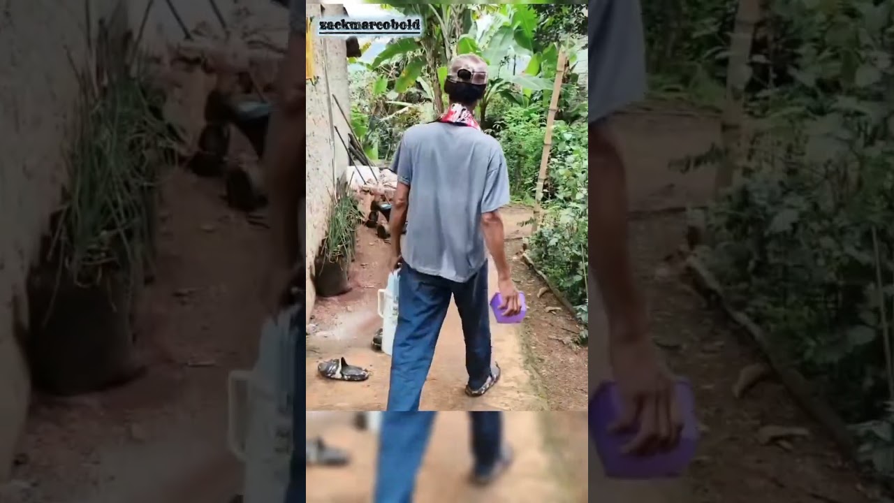 Penebangan liar !! Wkwkwkw