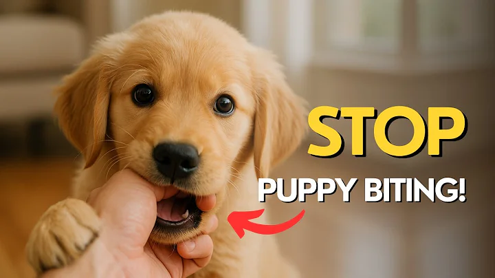 How To Stop Puppy Biting Instantly (3 Proven Steps)