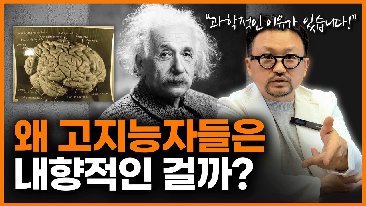 지능이 높을수록 인간관계를 줄이는 이유ㅣ정신과 의사 양용준