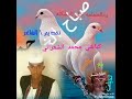 الشاعر كباشي ودالشعراني 