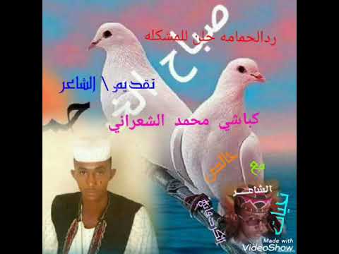 الشاعر كباشي ودالشعراني