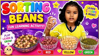 “Sorting Beans Activity for Kids” @princesseshalworld 