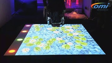 OM interactive omiVista Interactive Projection System