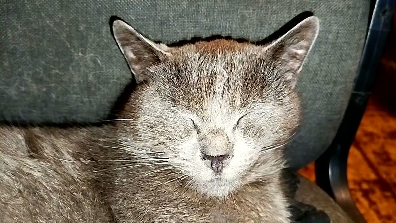 #Славянск. 27 февраля 2026г. Вечер.