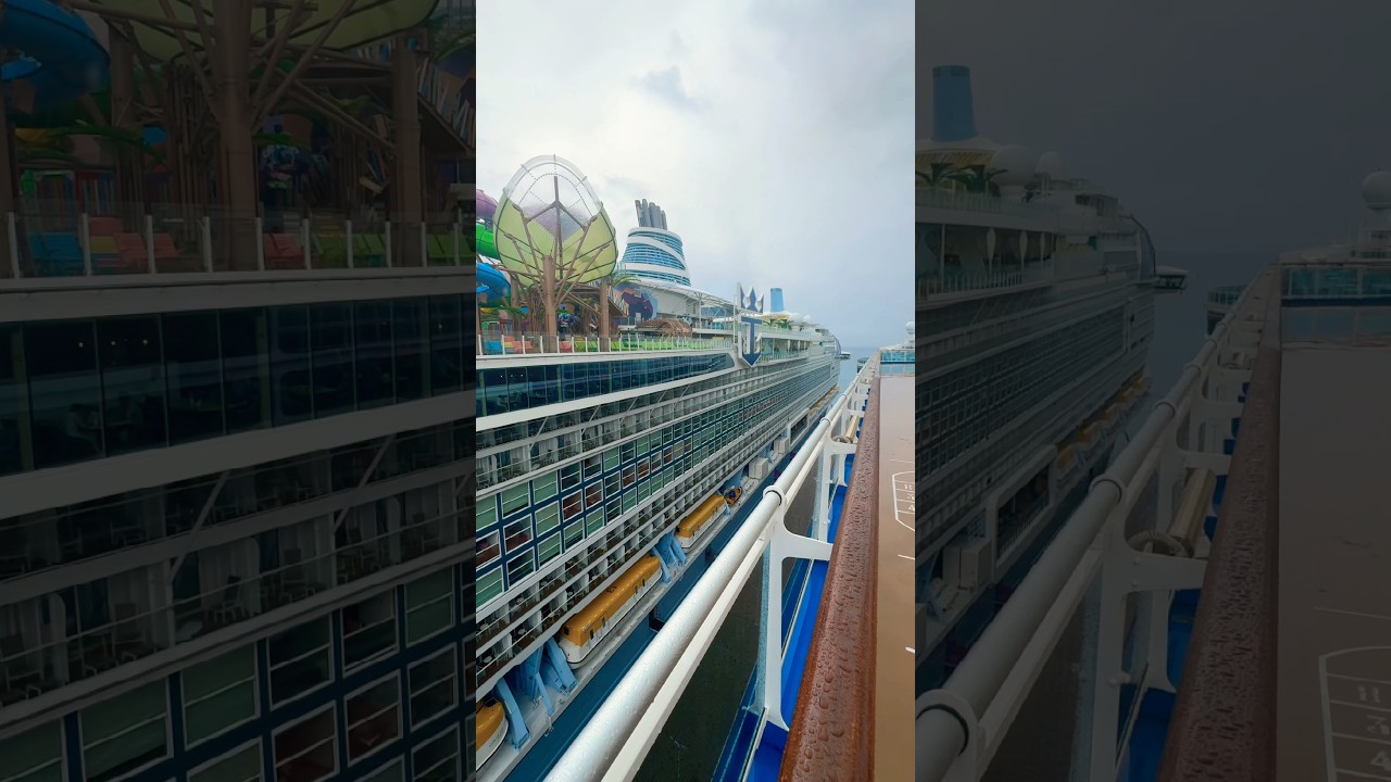 #Giant cruise #icon of the Seas #cruise #royalcaribbean #sea #redbullenergydrink #viral #travel #lv