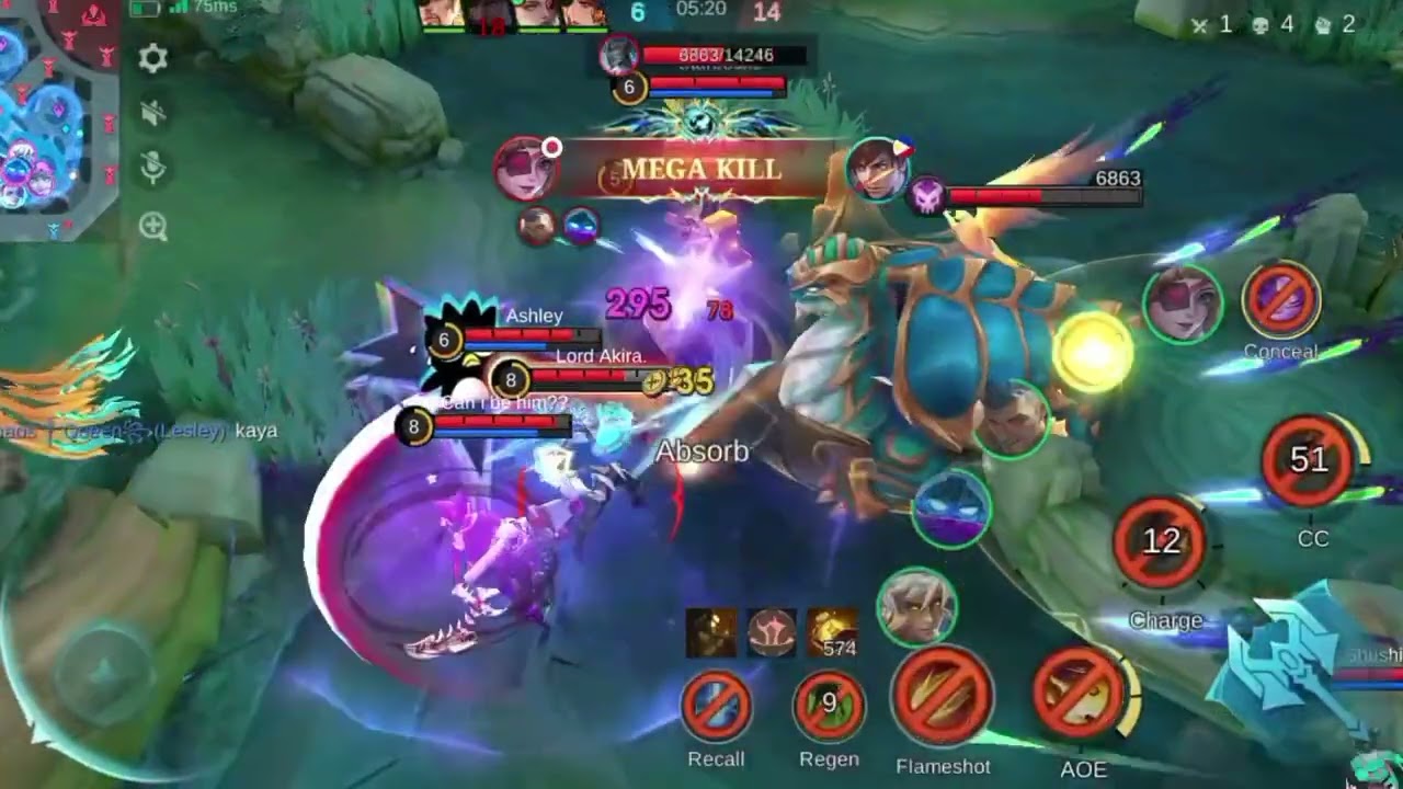 Flameshot tigreal 🤔 