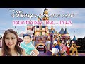Rufa Ways Lost in Los Angeles Disney Land