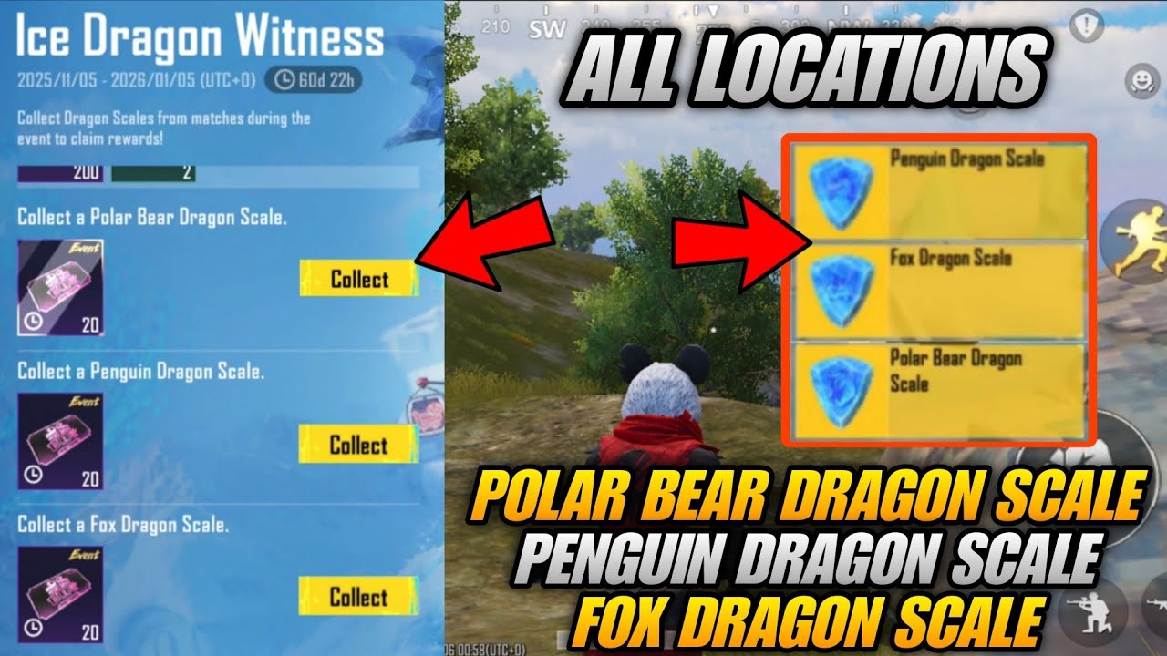 🔴 POLAR BEAR DRAGON SCALE LOCATION | PENGUIN DRAGON SCALE LOCATION | FOX DRGAON SCALE LOCATION