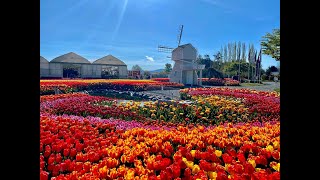 spring is here!