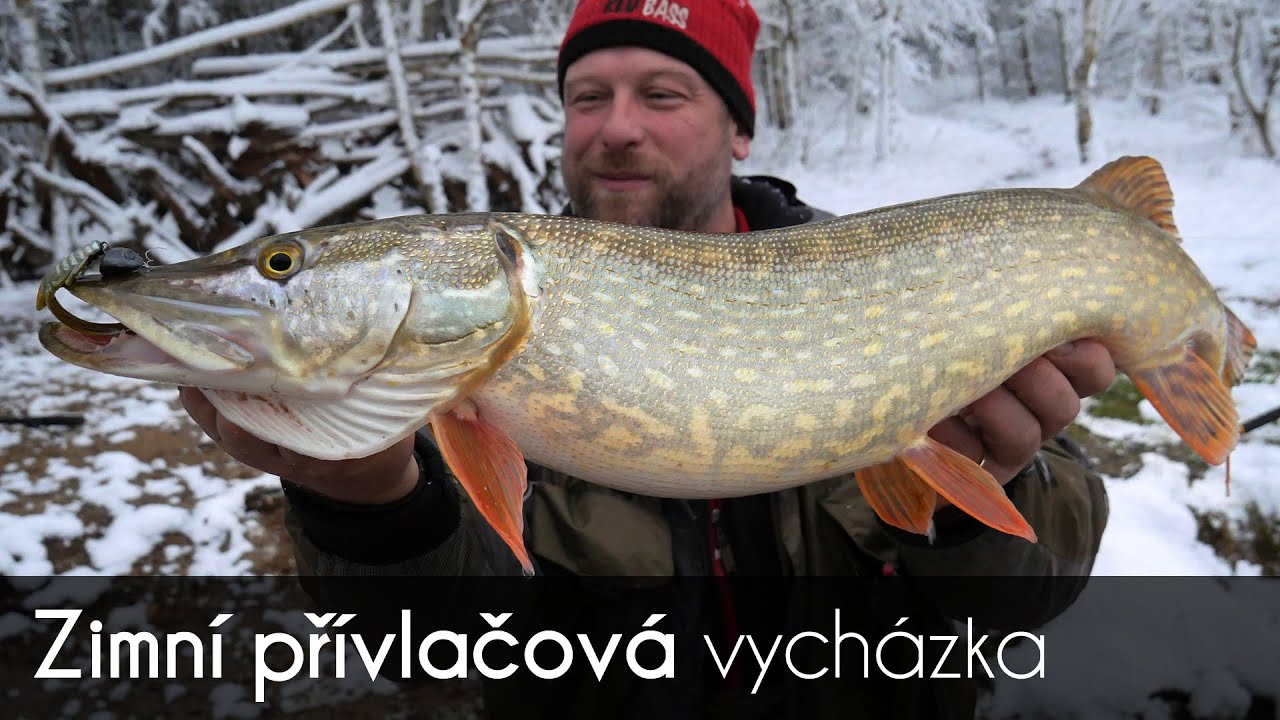 Zimní přívlačová vycházka s úlovkem nejen pěkné štiky. Od náhozu až po puštění.