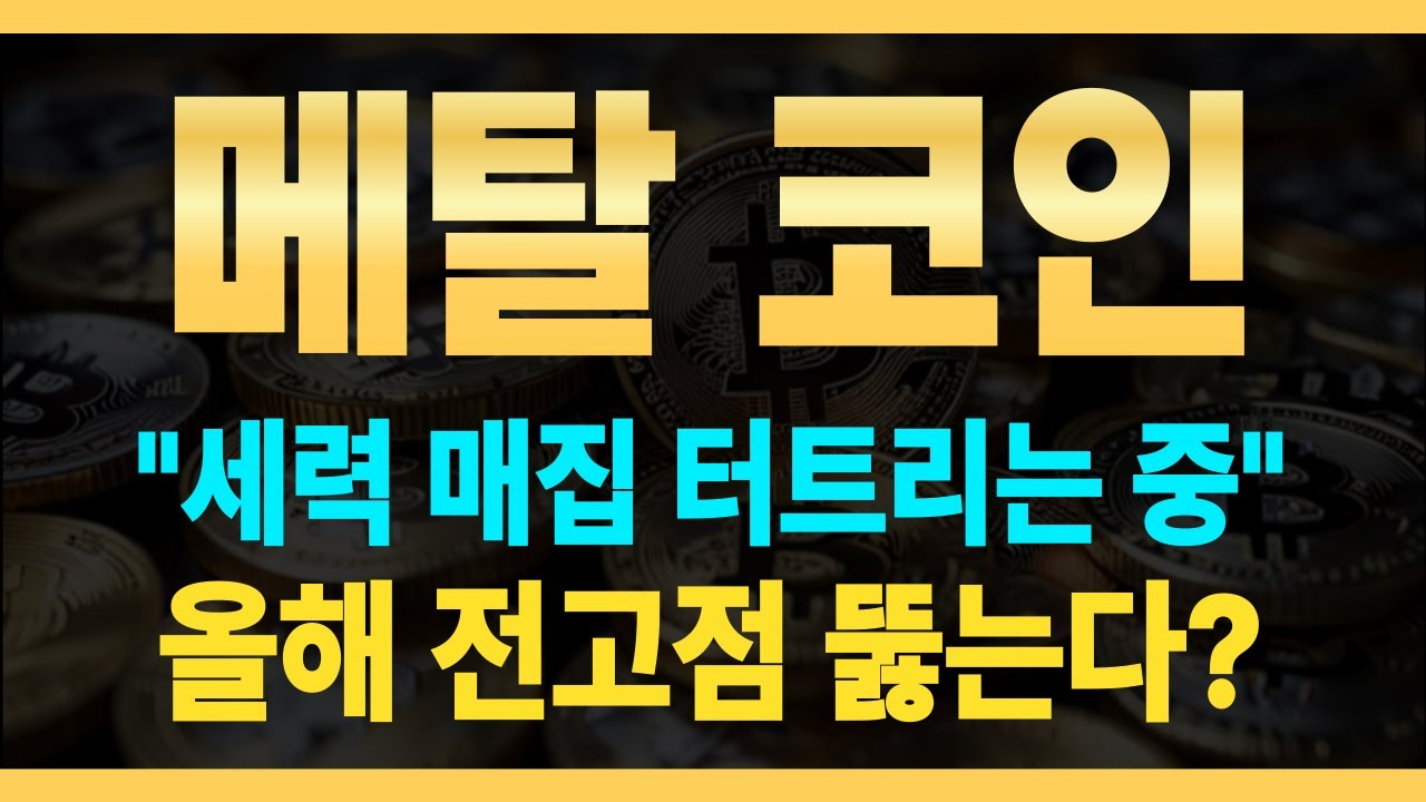 메탈코인] 🔥세력 매집한 물량 터트리는 중 🔥올해 전고점 뚫을 예정! - YouTube