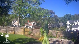 Water's Edge LIVE Webcam | Mt. Pleasant, SC