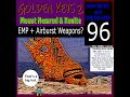 AIRBURST WEAPON MELTOLOGY? | s&s96