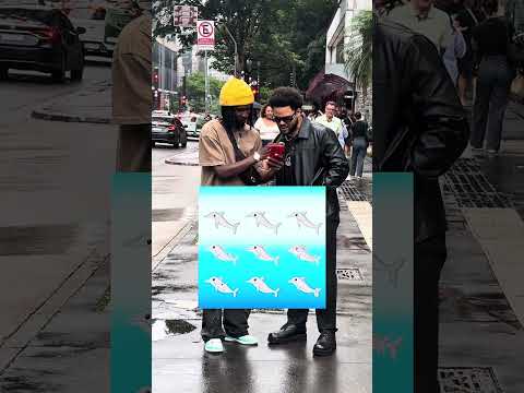 Quantos golfinhos tem na imagem?