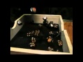 The Dice Are Cast