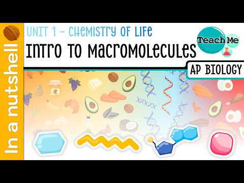 Unit 1.3 - Intro To Macromolecules [In A Nutshell] - AP Biology