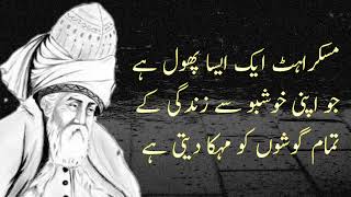 Aqwal E Zareen In Urdu Urdu Quotes Anmol Heeraaaaaa