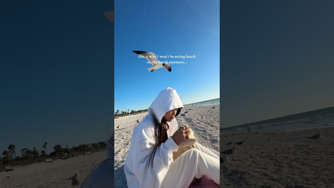 why I don’t eat lunch on the beach anymore…😭