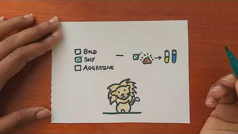 Understanding Big Cat Personality to Improve their...