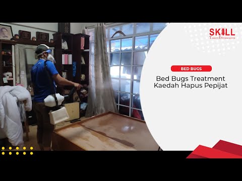 Video: Bagaimana untuk mencari tempat perlindungan pepijat?