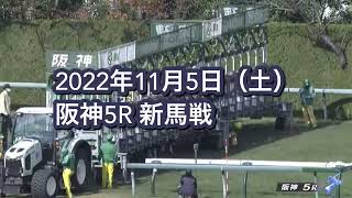 2022年11月5日（土）阪神5R 2歳新馬レース映像