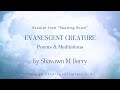 Excerpt from Evanescent Creature