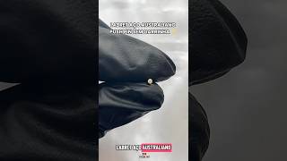 LABRET AÇO AUSTRALIANO PUSH PIN SEM GARRINHA ✨ LABRET AÇO AUSTRALIANO PUSH PIN SEM GARRINHA ✨