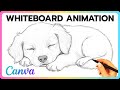 How to Make Whiteboard Animation in Canva Mp3 Song