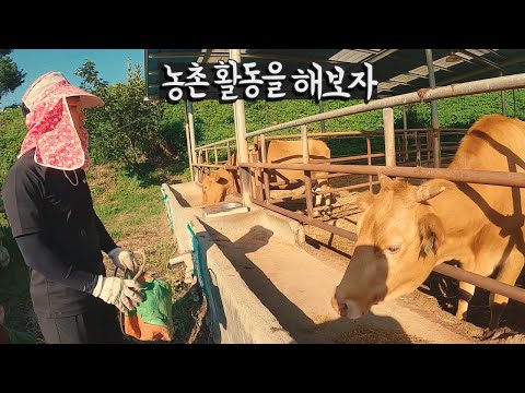농활을 해보자(feat.리도동동, 캘빈) 【우리나라10】