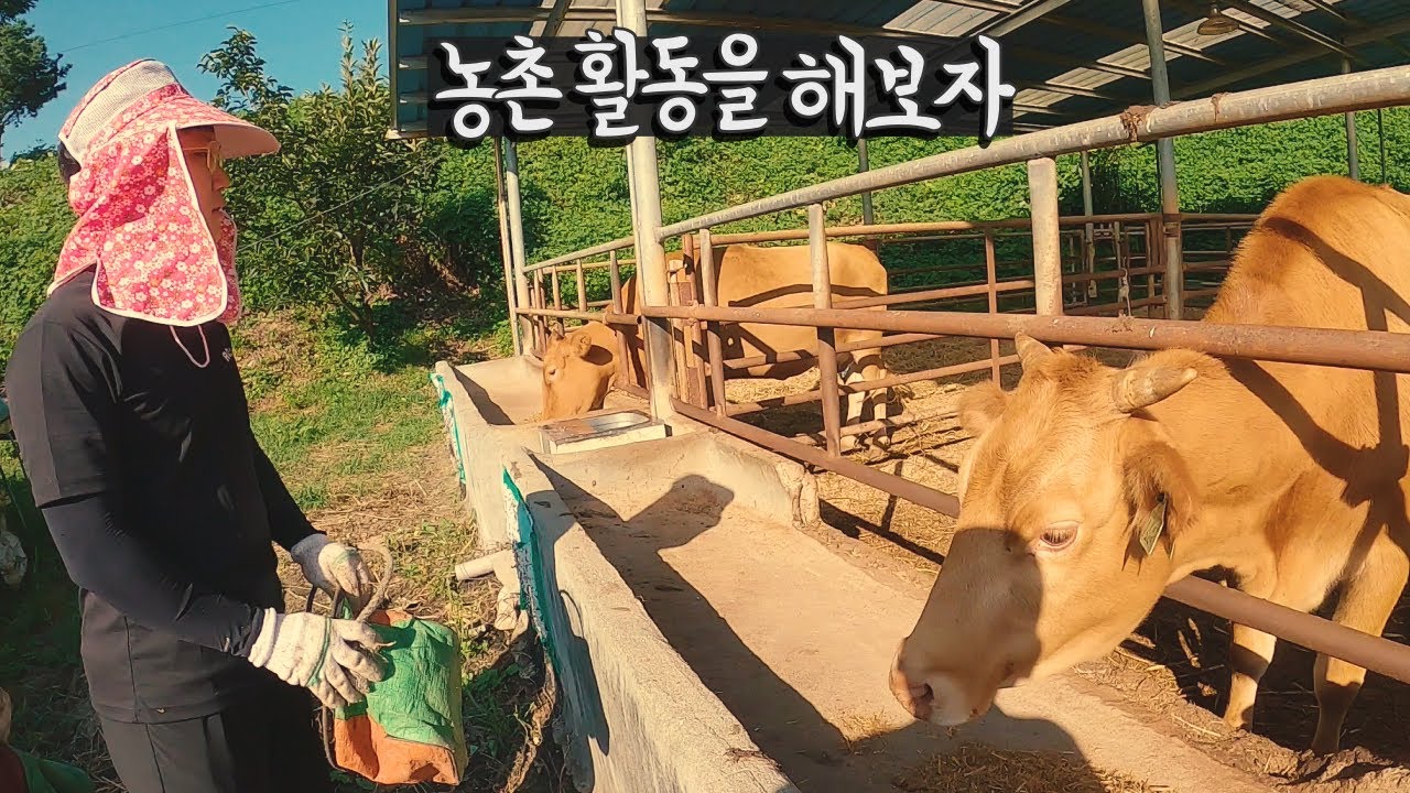 농활을 해보자(feat.리도동동, 캘빈) 【우리나라10】