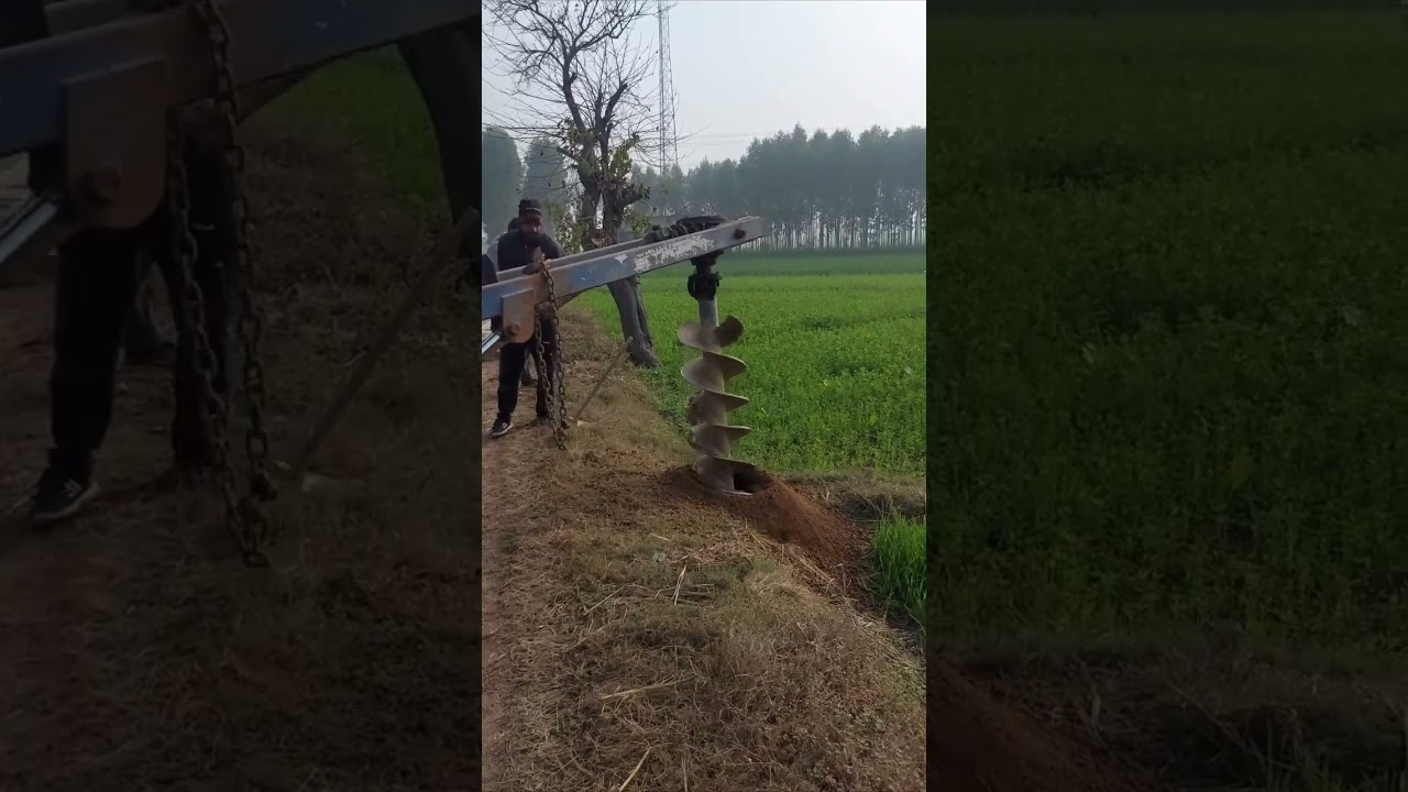 Gold Diggers🪙🪙