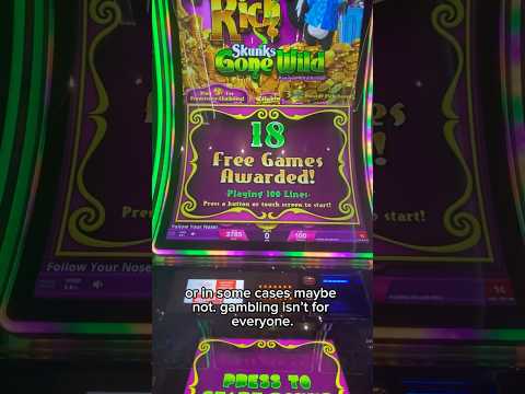 Experience the Thrill of RollXO: Play Casino Online in English from New Zealand