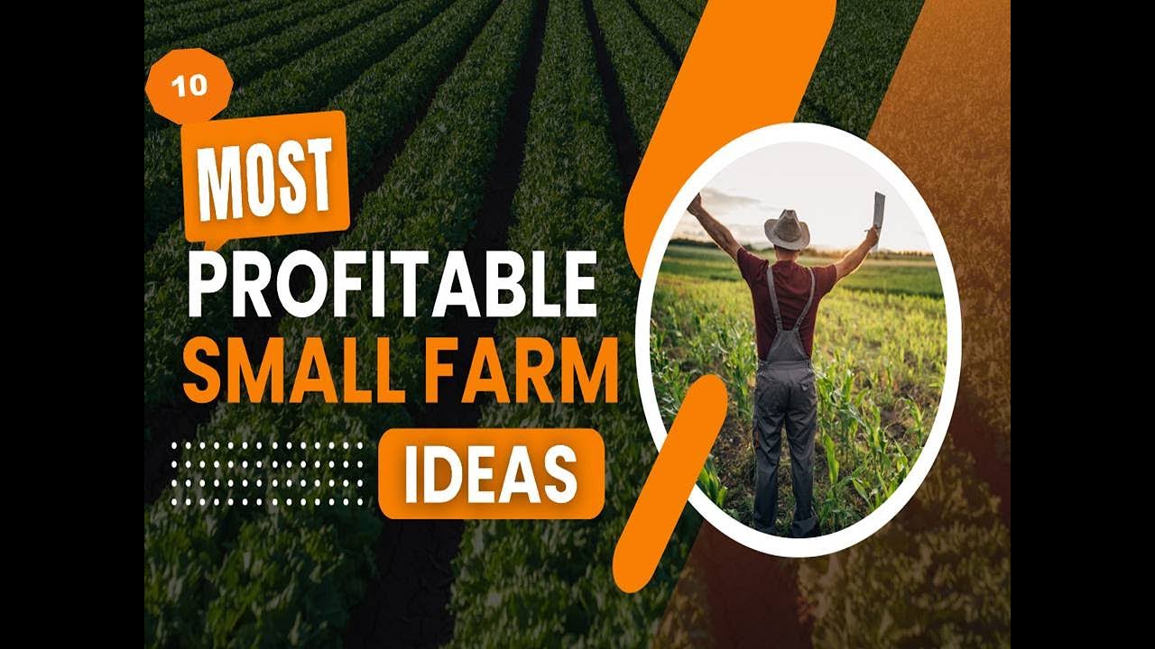 10 Profitable Agribusiness Ideas to Start in Africa in 2025! # ...