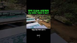 계곡산장 영상