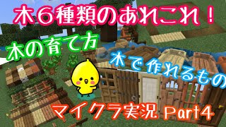 統合版マイクラ 原木は全6種類 手に入れる方法 使い道は 統合版マイクラ 原木は全6種類 手に入れる方法 使い道は