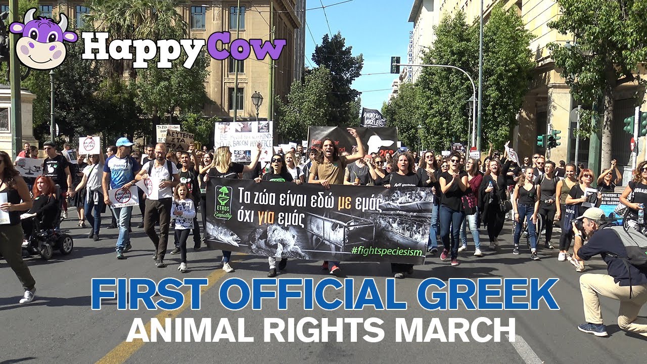 Greece's First Official Animal Rights March - YouTube