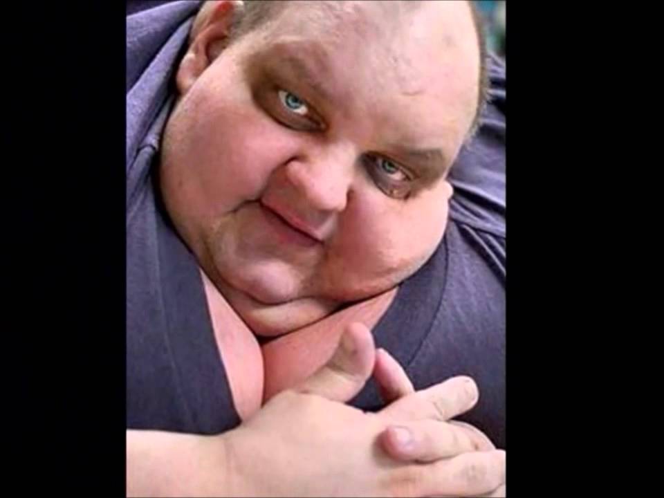 Жирные вздохи сожаления картинка