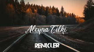 Aleyna Tilki -  RENKLER Resimi