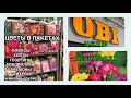 Цветы в пакетах ОБИ ЦЕНЫ