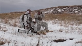 Зимняя Охота на Волков (Койотов) в США, O’Neill Ops-Coyote Hunting