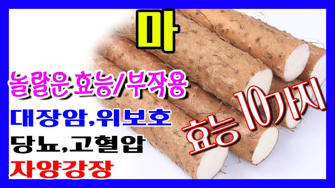 마 효능 10가지와 먹는법, 부작용, 마의 효능, #마효능 #마의효능 #마효능 @마의효과 #마효과 #마먹는법 #마부작용 #천마의 ...