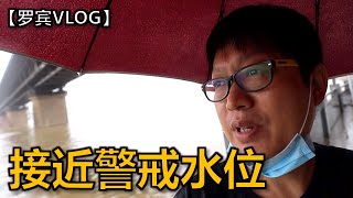 【罗宾VLOG】7月6号武汉洪水接近警戒水位  我家继续外面大雨家里小雨